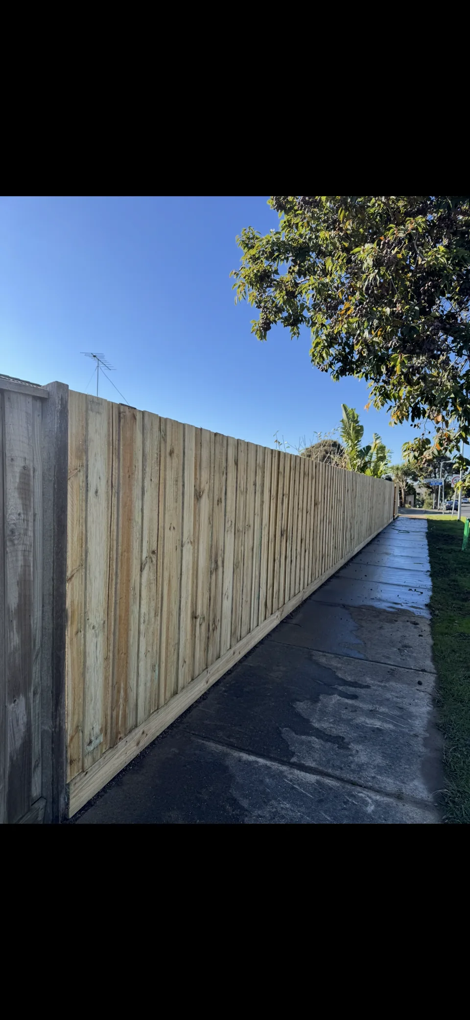 1.8 m timber paling fence running beside a footpath