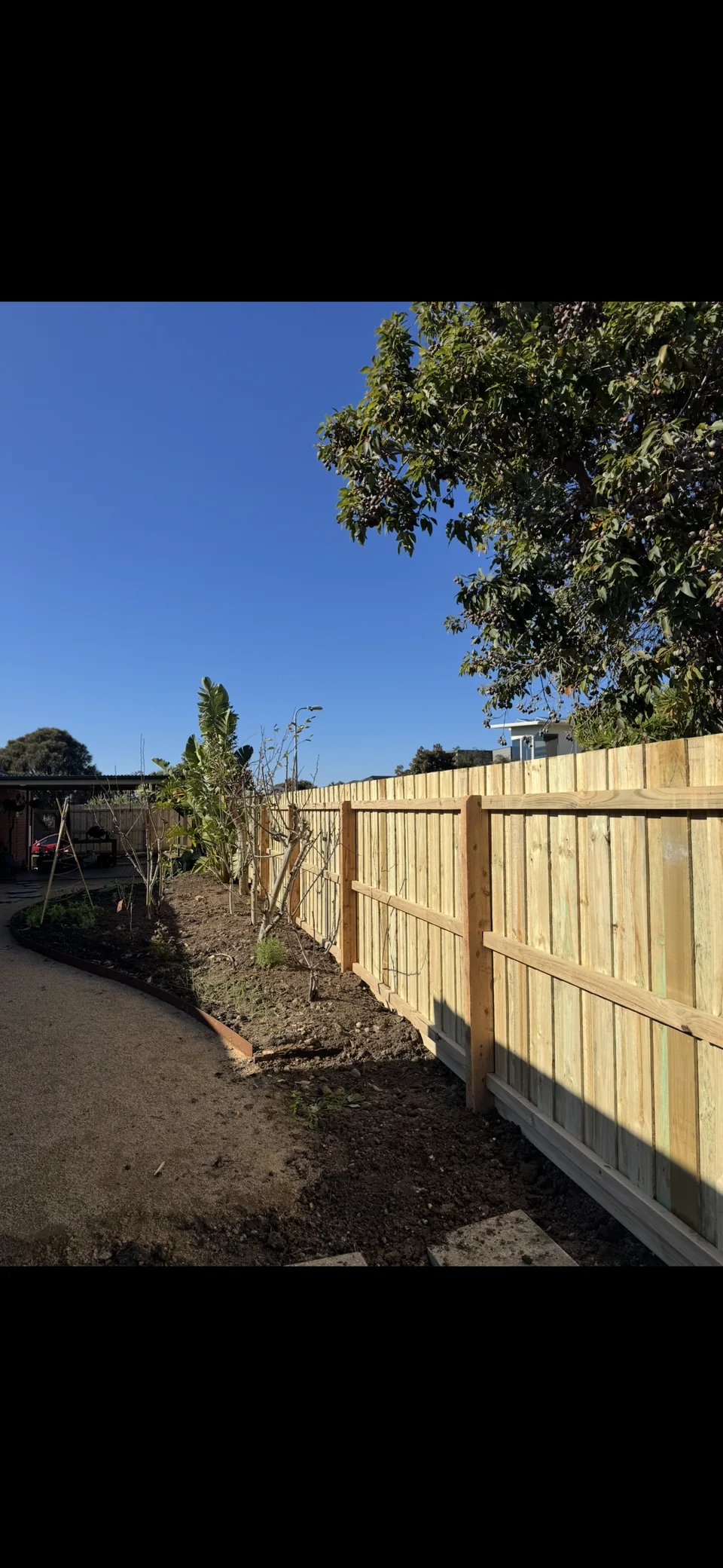 1.8 m timber paling fence viewed from the rail side beside a garden bed