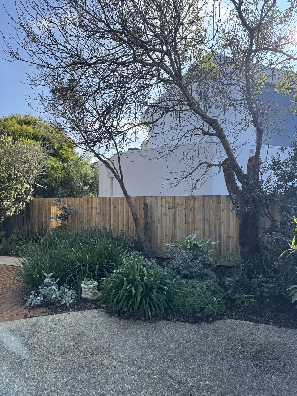 1.8 m timber paling fence completed by Armstrong Creek Fencing