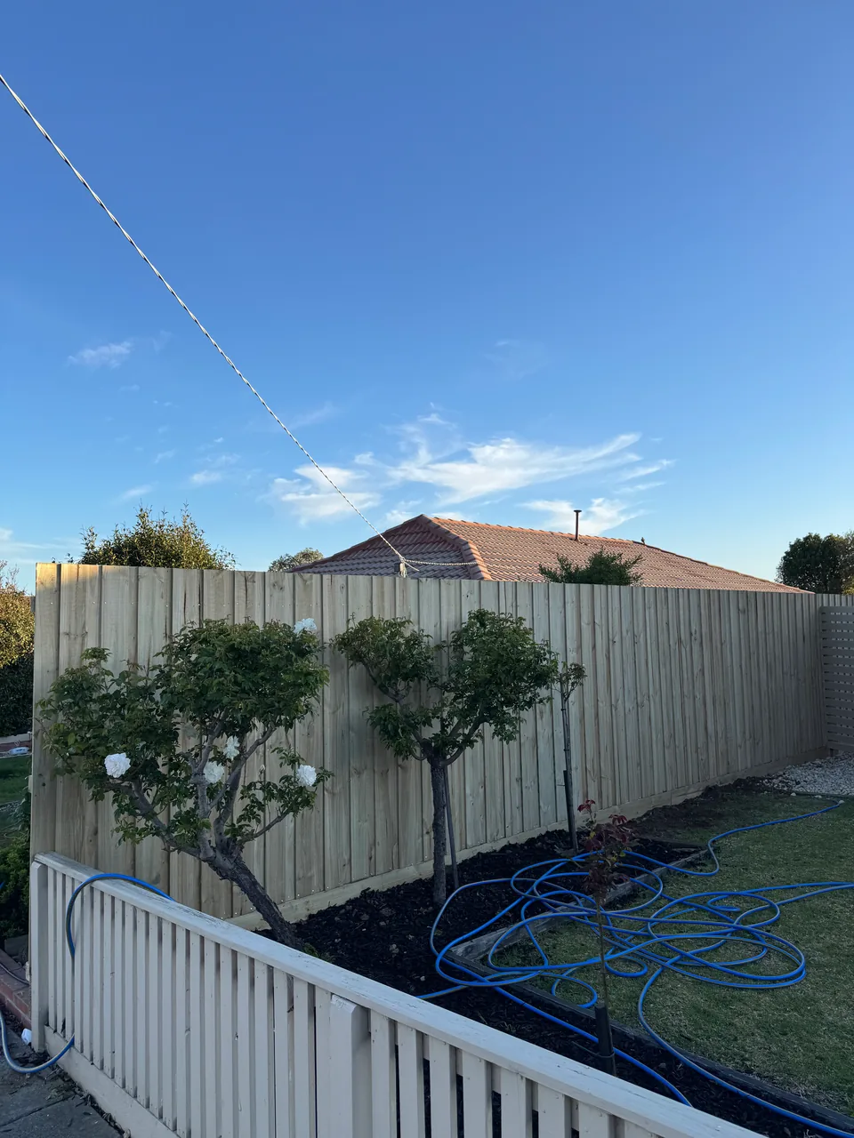 1.95 m high timber paling fence built by Armstrong Creek Fencing