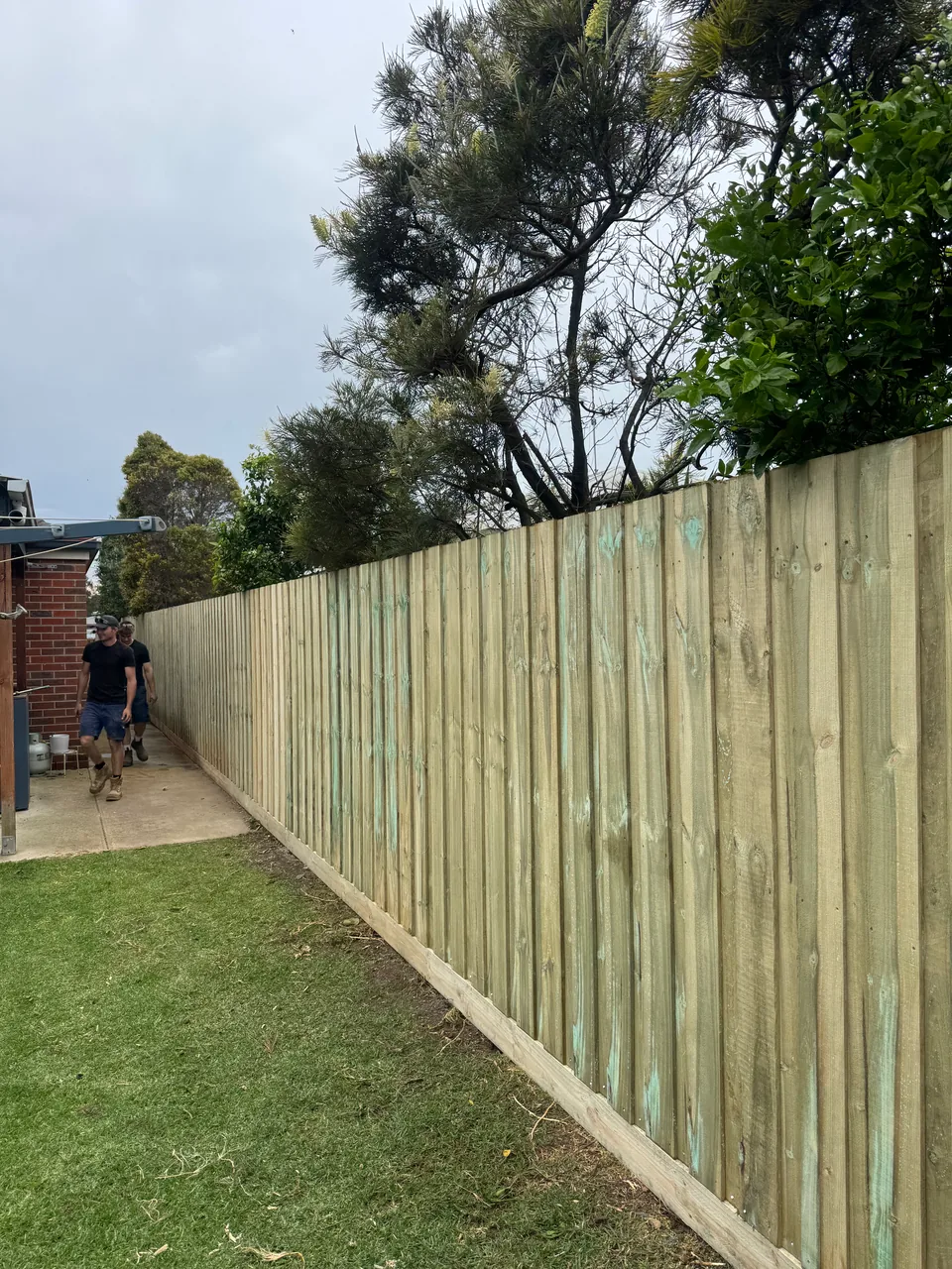 1.95 m high timber paling fence built by Armstrong Creek Fencing